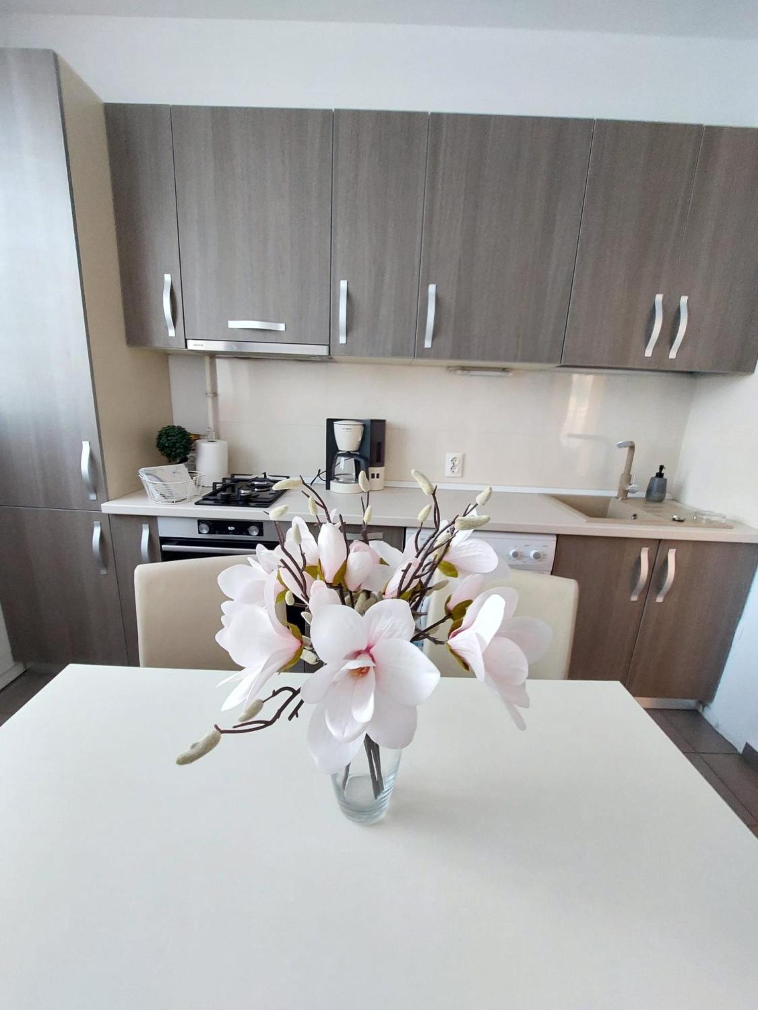 Sweet Residence Apartment Arad Esterno foto